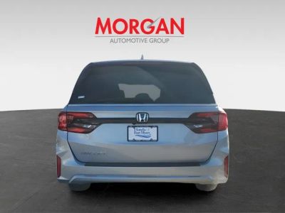 2026 Honda Odyssey — engine compartment view