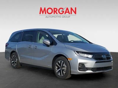 2026 Honda Odyssey — rear three-quarter view