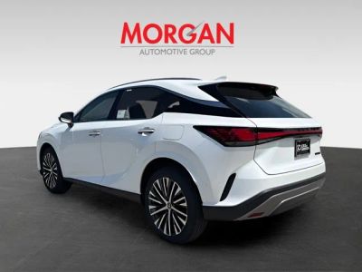 2026 Lexus RX — detail view