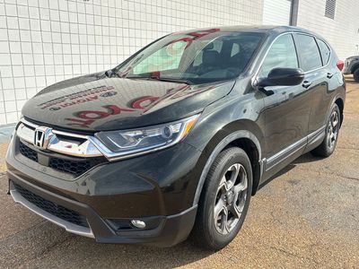 2019 Honda CR-V - Photo 3