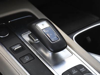 2023 INFINITI QX60 — photo 14 view