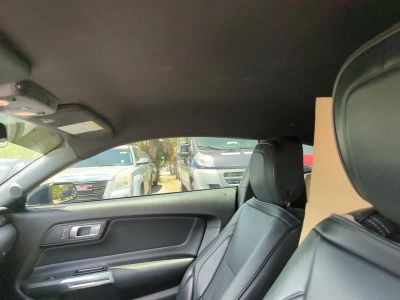 2022 Ford Mustang — photo 19 view