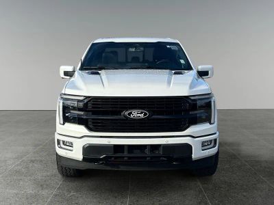 2024 Ford F-150 — side profile view