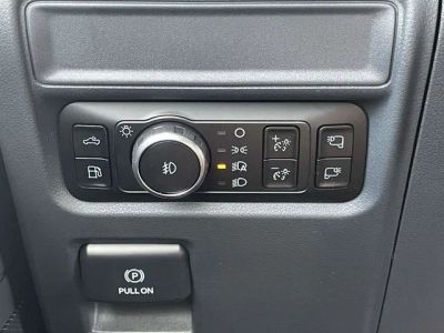 2025 Ford F-150 - Photo 29