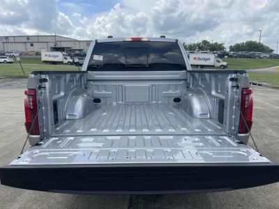 2025 Ford F-150 - Photo 10