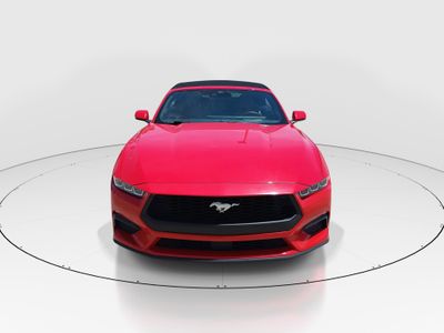 2024 Ford Mustang - Photo 2