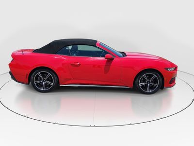 2024 Ford Mustang - Photo 8
