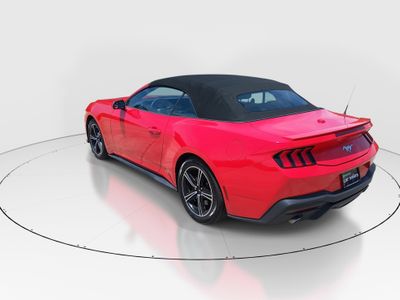 2024 Ford Mustang - Photo 5