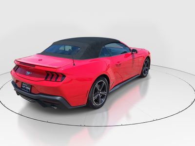 2024 Ford Mustang - Photo 7