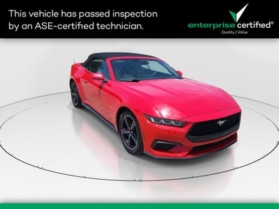 2024 Ford Mustang - Photo 1