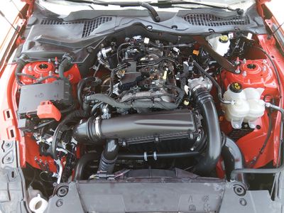 2024 Ford Mustang - Photo 9