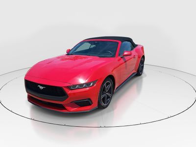 2024 Ford Mustang - Photo 3