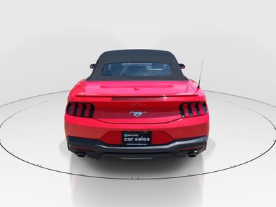 2024 Ford Mustang - Photo 6