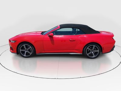 2024 Ford Mustang - Photo 4