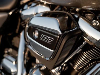 2017 Harley-Davidson Road Glide - Photo 12