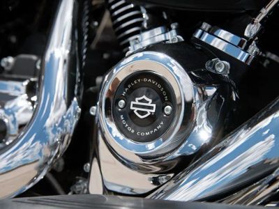 2017 Harley-Davidson Road Glide - Photo 13