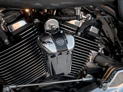 2017 Harley-Davidson Road Glide - Photo 14