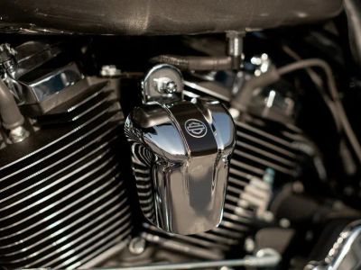 2017 Harley-Davidson Road Glide - Photo 10