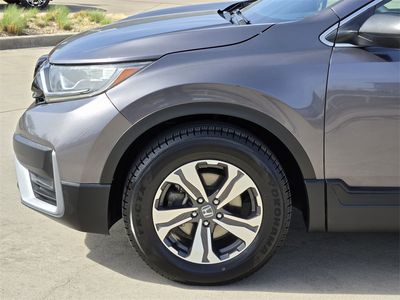 2020 Honda CR-V - Photo 6