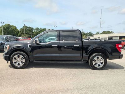 2023 Ford F-150 — side profile view