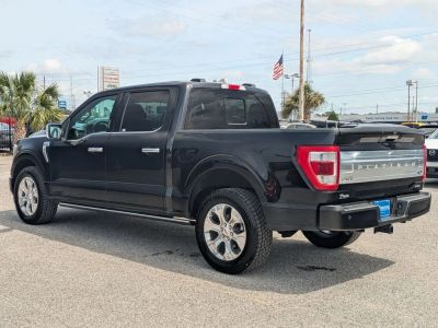 2023 Ford F-150 — rear three-quarter view