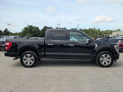 2023 Ford F-150 — engine compartment view