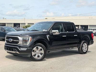 2023 Ford F-150 Platinum in Black — front three-quarter view