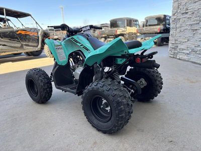 2025 Yamaha Raptor 110 - Photo 5