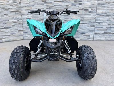 2025 Yamaha Raptor 110 - Photo 3