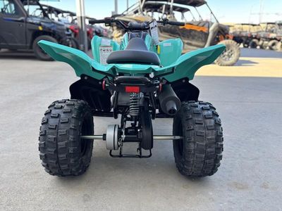 2025 Yamaha Raptor 110 - Photo 7