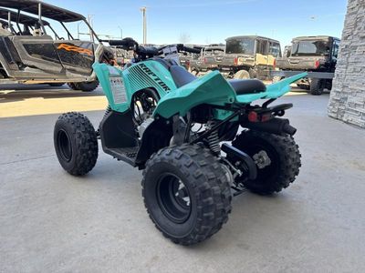 2025 Yamaha Raptor 110 - Photo 4