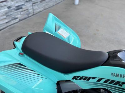 2025 Yamaha Raptor 110 - Photo 10