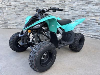 2025 Yamaha Raptor 110 - Photo 2