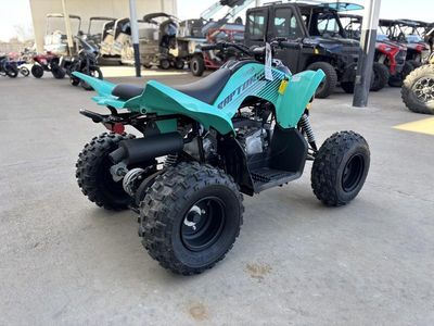2025 Yamaha Raptor 110 - Photo 6