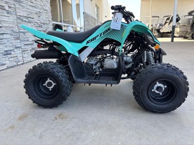 2025 Yamaha Raptor 110 - Photo 8