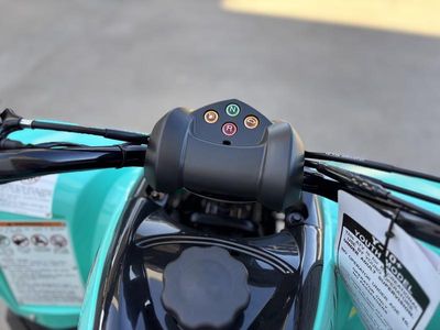 2025 Yamaha Raptor 110 - Photo 12