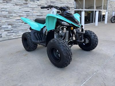 2025 Yamaha Raptor 110 - Photo 1