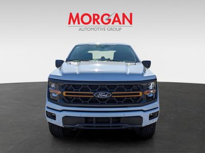 2025 Ford F-150 - Photo 1