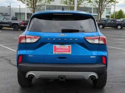 2020 Ford Escape - Photo 6