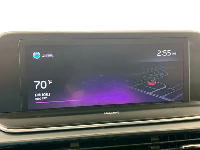 2022 Kia Telluride — photo 24 view