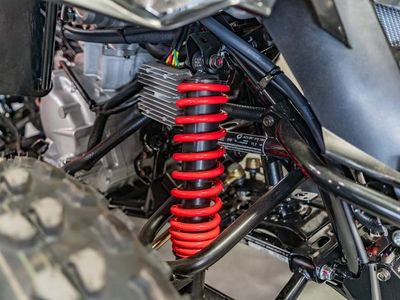 2026 Can-Am DS 250 - Photo 9