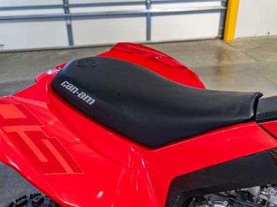 2026 Can-Am DS 250 - Photo 10