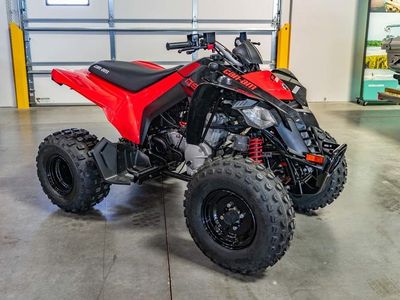 2026 Can-Am DS 250 - Photo 3