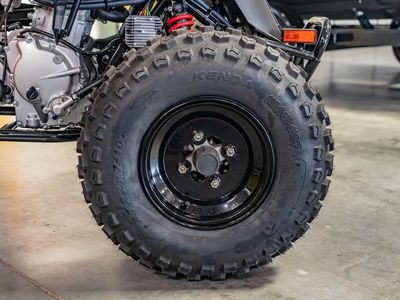 2026 Can-Am DS 250 - Photo 12