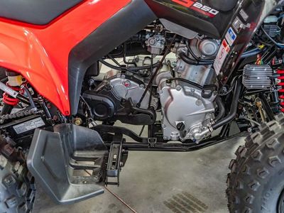2026 Can-Am DS 250 - Photo 11