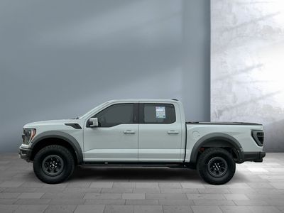 2023 Ford F-150 — rear three-quarter view
