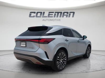 2023 Lexus RX — detail view