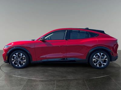 2021 Ford Mustang Mach-E — detail view