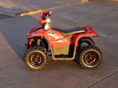 2026 Denago Powersports E-Hawk 6 - Photo 7