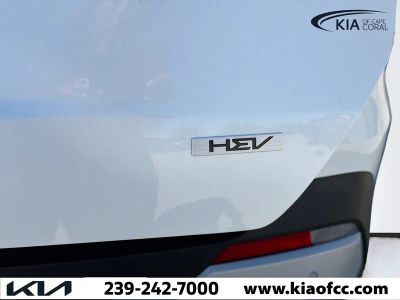 2026 Kia Carnival Hybrid — photo 11 view